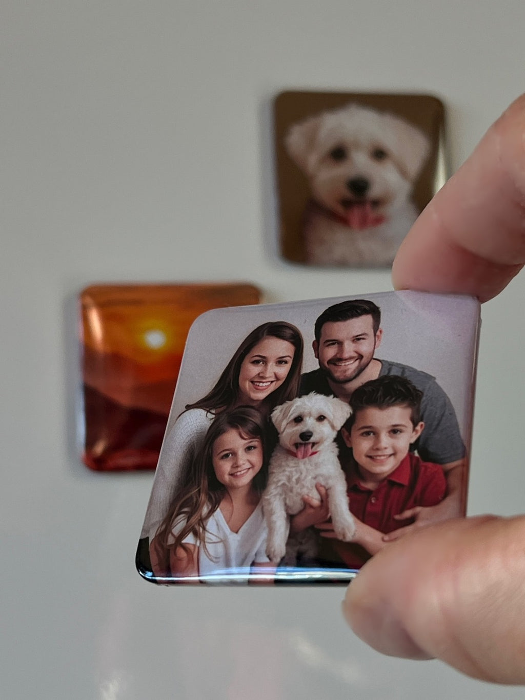 Hand holding a pressed button photo magnet of a family with a dog, with another magnet of a dog in the background.