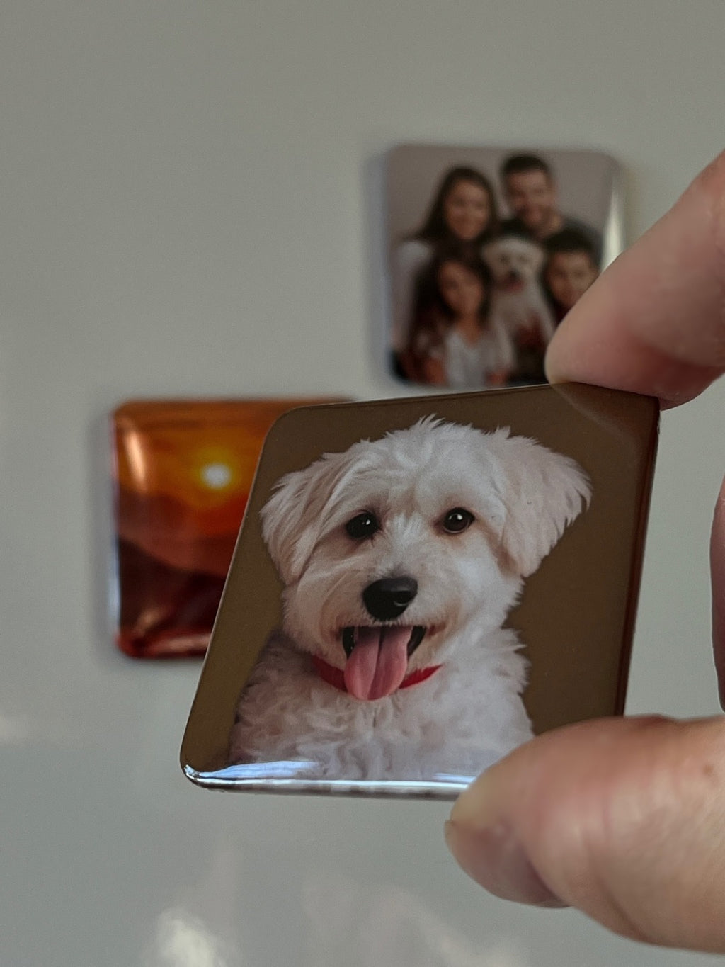 Hand holding a square pressed button photo magnet with a dog's face on it, with other photo magnets in the background.
