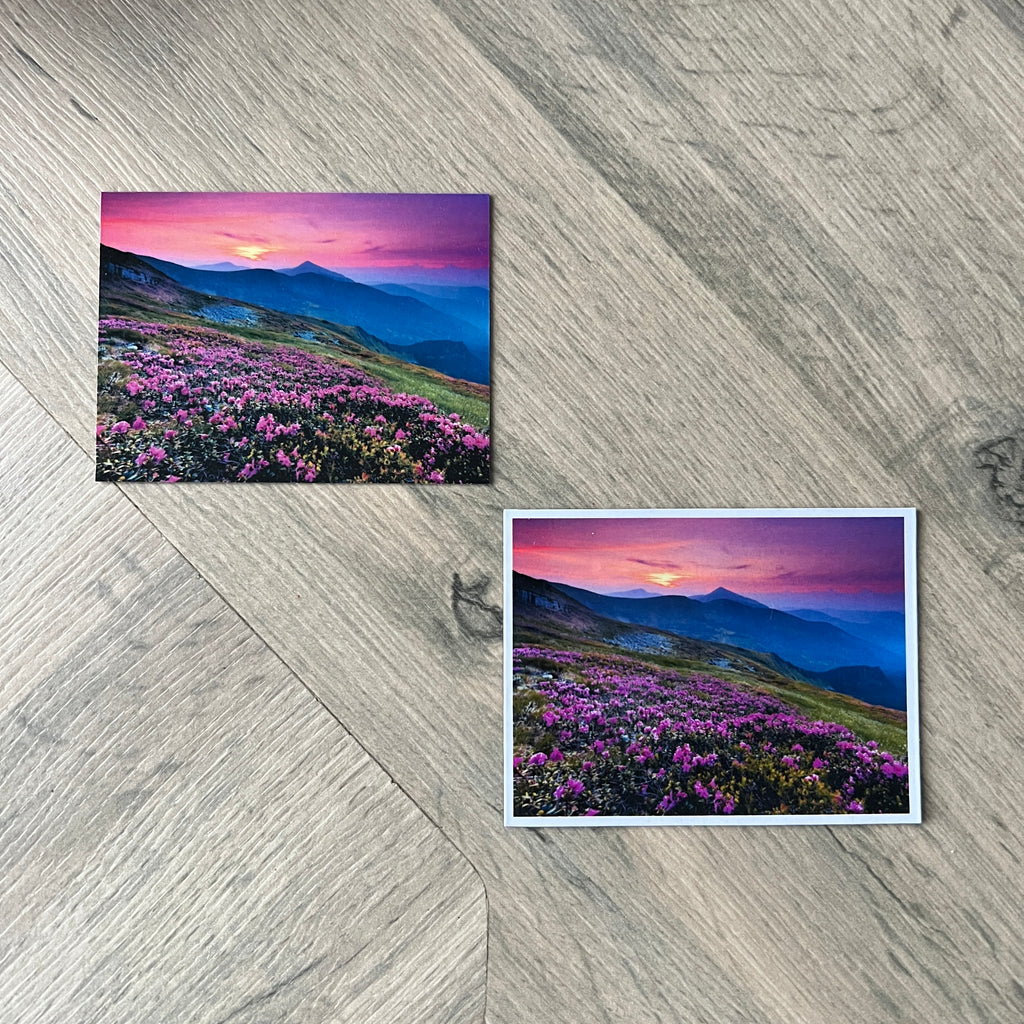 Two scenic photo magnet of a mountain landscape with pink flowers.