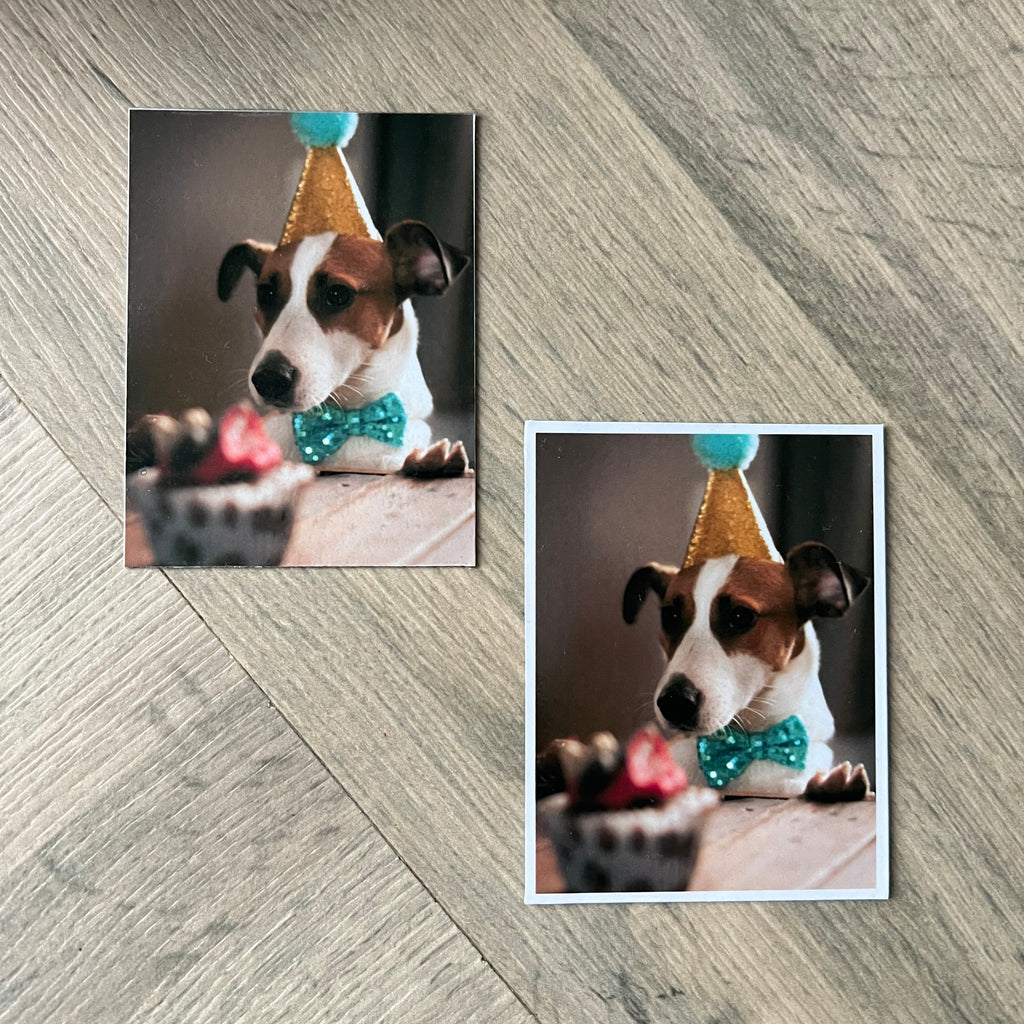 Two rectangle shaped photo magnets of a dog wearing a party hat and bow tie.