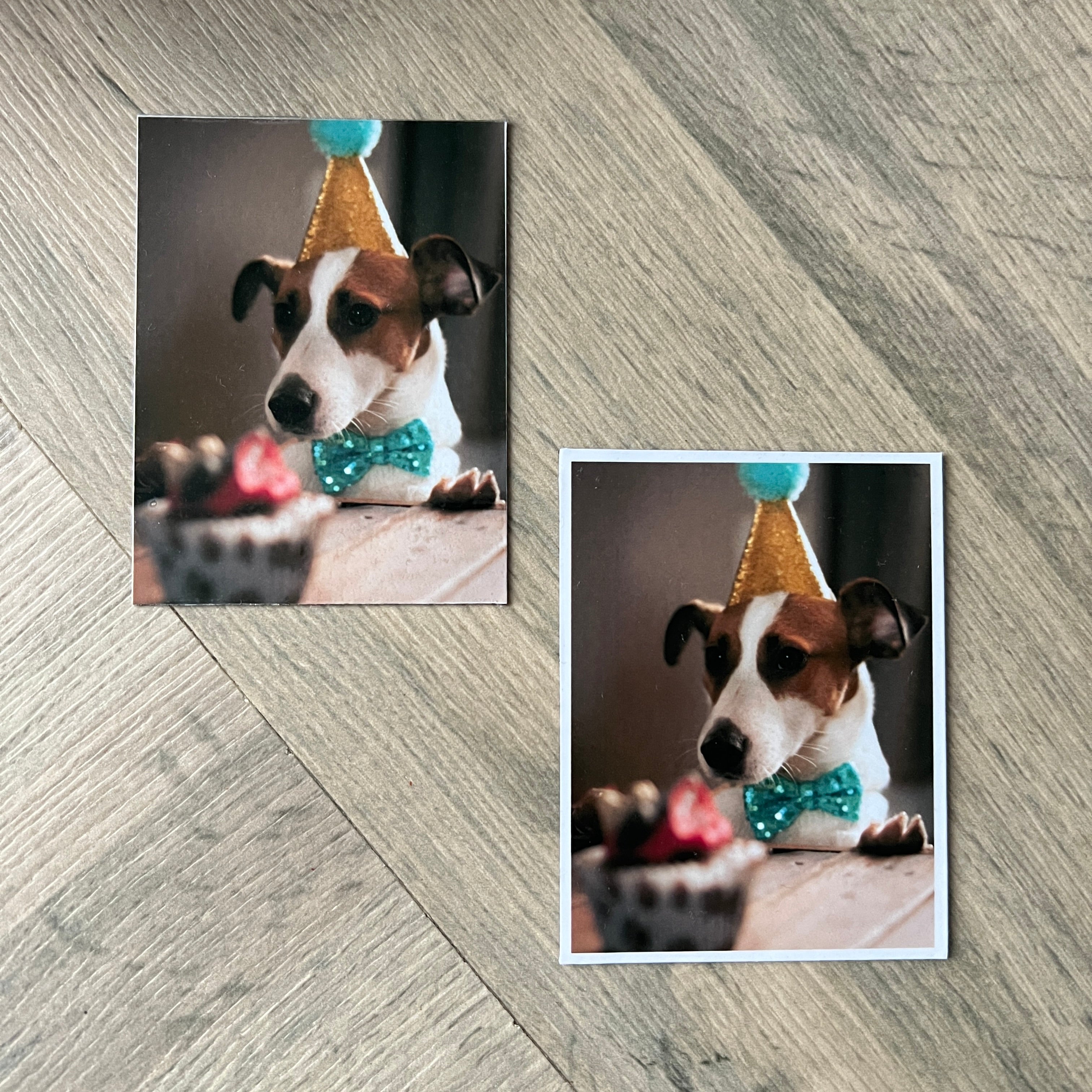 Two rectangle shaped photo magnets of a dog wearing a party hat and bow tie.