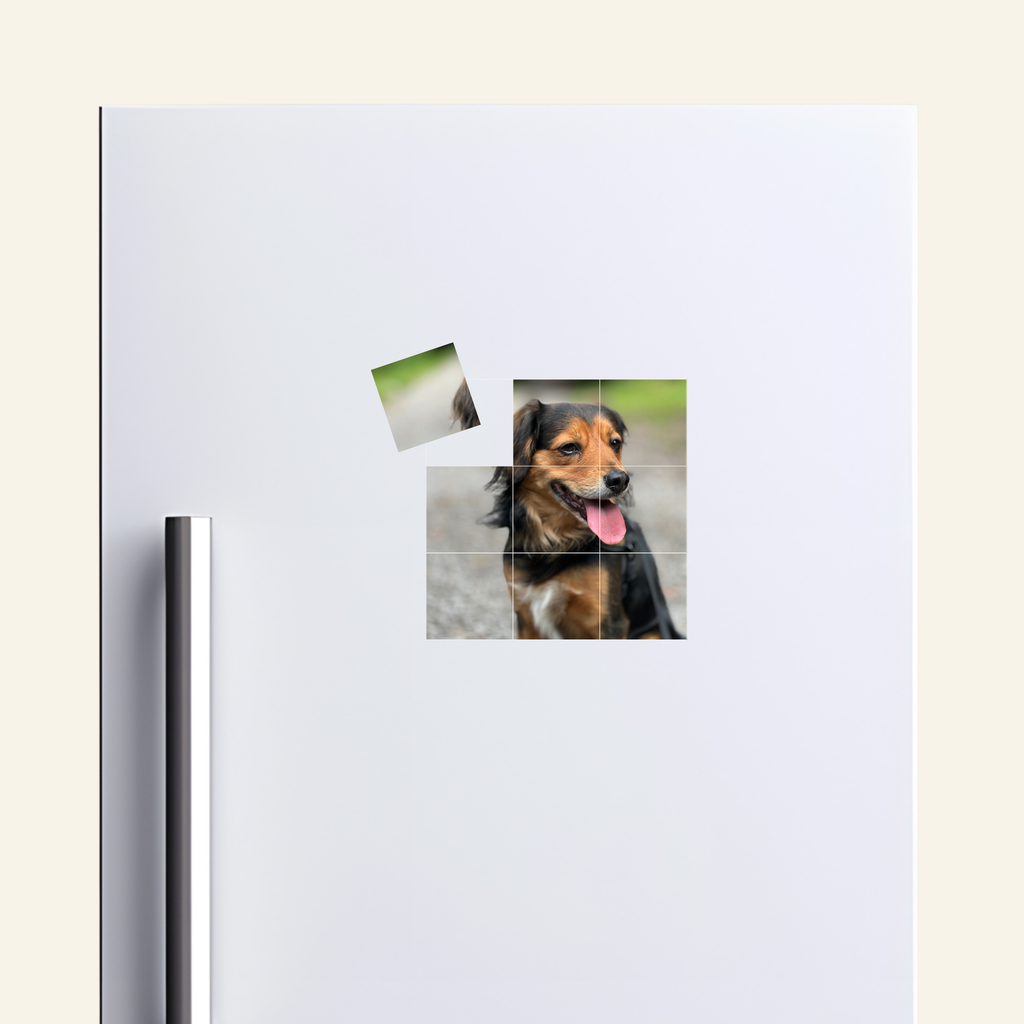 Fridge with a magnetic photo display featuring a dog