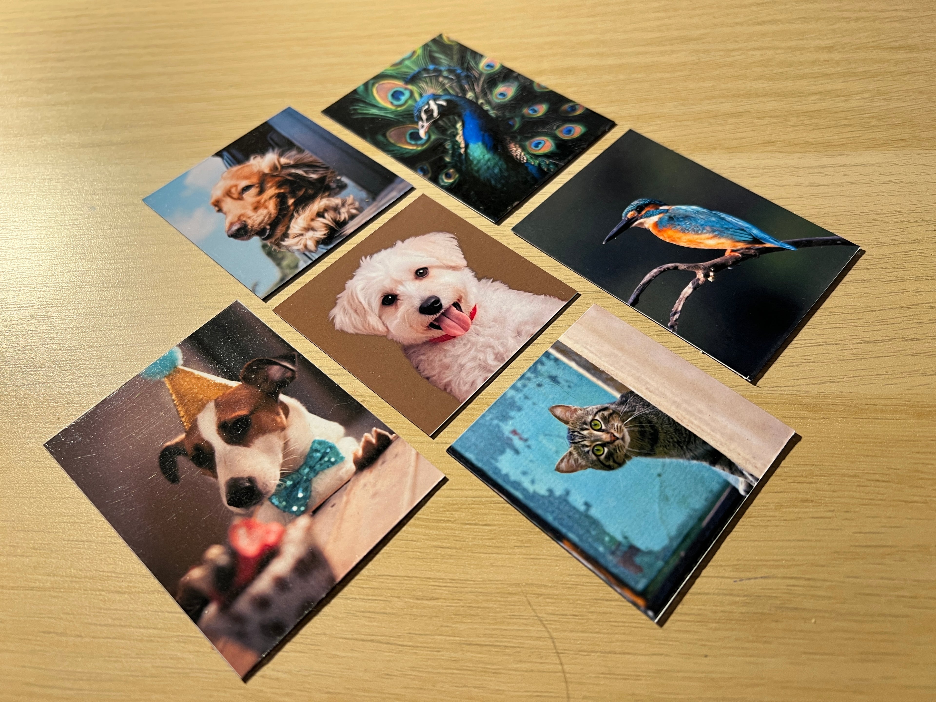 Flexible Photo Magnets